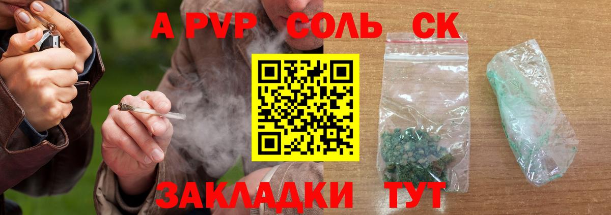 Альфа ПВП СК Йошкар-Ола