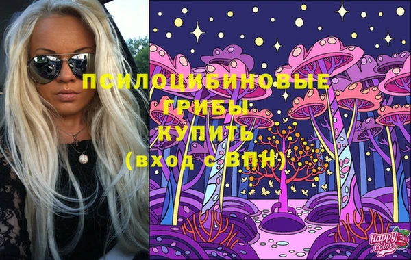 ешки Абаза