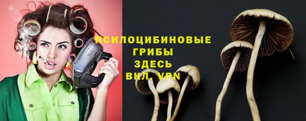 ПСИЛОЦИБИНОВЫЕ ГРИБЫ Краснослободск