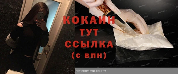 mix Богородицк