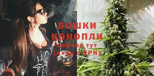 spice Богданович