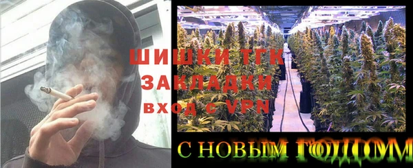 mix Богородицк