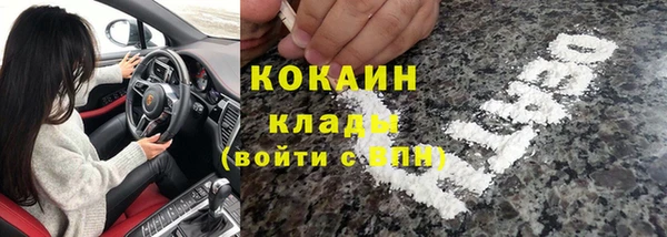 ПСИЛОЦИБИНОВЫЕ ГРИБЫ Краснослободск