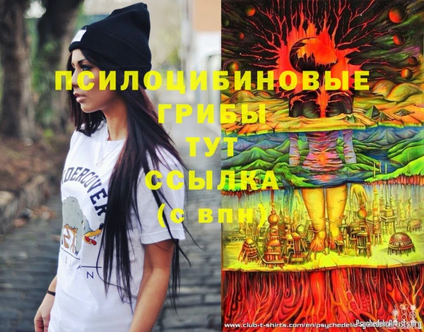 ПСИЛОЦИБИНОВЫЕ ГРИБЫ Краснослободск