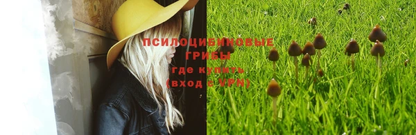 ПСИЛОЦИБИНОВЫЕ ГРИБЫ Краснослободск