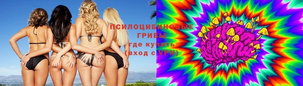 ПСИЛОЦИБИНОВЫЕ ГРИБЫ Краснослободск