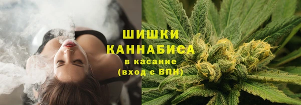 spice Богданович