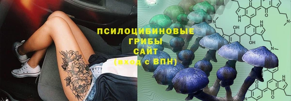 ешки Абаза