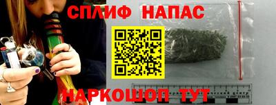 СК Бийск