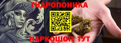 СК Бийск