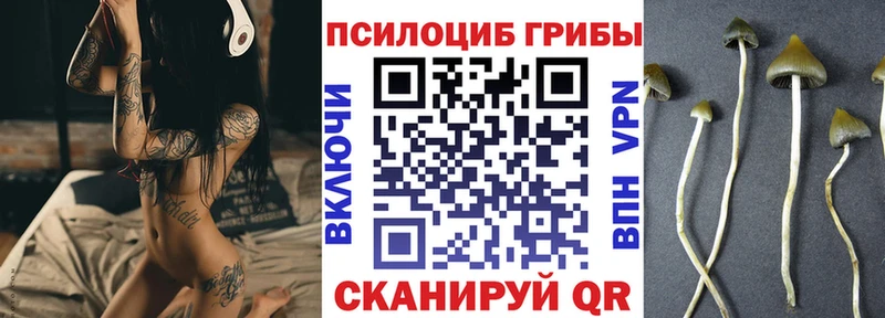 Галлюциногенные грибы Cubensis наркошоп Йошкар-Ола