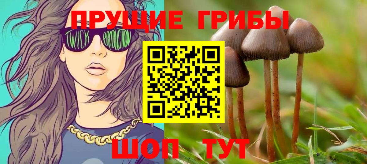Экстази  Каннабис  Мефедрон  Йошкар-Ола  Купить закладку  Cocaine  Меф МЯУ МЯУ   ГАШИШ  ГАШИШ  Вход с VPN 