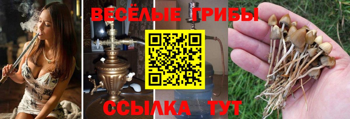 Галлюциногенные грибы GOLDEN TEACHER Йошкар-Ола