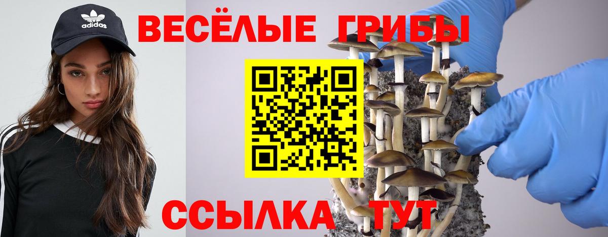 Псилоцибиновые грибы мицелий  Псилоцибиновые грибы GOLDEN TEACHER  Вход с VPN  Йошкар-Ола 
